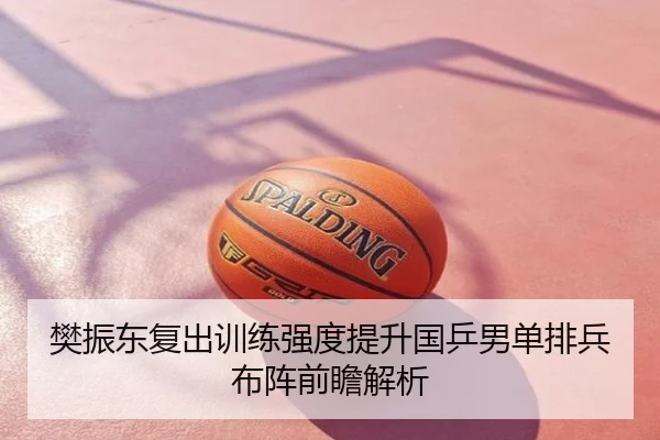 樊振东复出训练强度提升国乒男单排兵布阵前瞻解析
